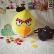 GỐI ANGRY BIRD TBGAB