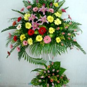 KỆ HOA KHAI TRƯƠNG HT134