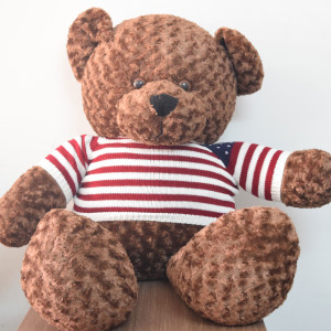 GẤU BÔNG TEDDY TBGTD110