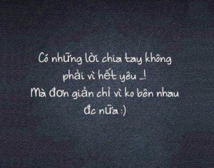 Những câu nói hay về tình yêu